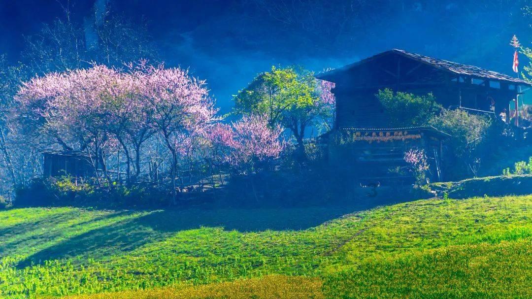 【建设法治晋中 巾帼在行动】一图带您了解新行政复议全流程
